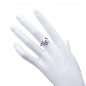 Fáinne cineál snasta Hongde